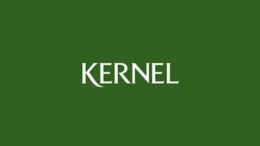 Програмний робот став першим цифровим співробітником Kernel