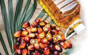 Экспорт пальмового масла из Индонезии достиг рекордных 2,95 млн тонн