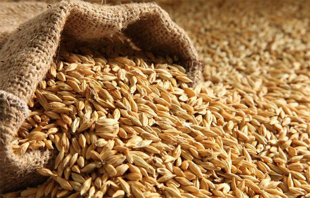 IGC прогнозує зростання світового виробництва зерна на 4%