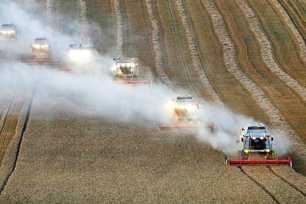 Спека на Рівненщині. Експерти розповіли, як вона впливає на врожай