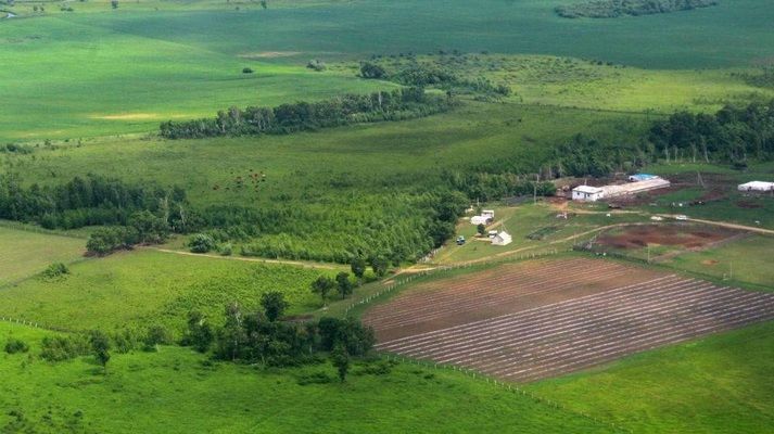 Сколько денег сейчас просят за гектар земли в Украине