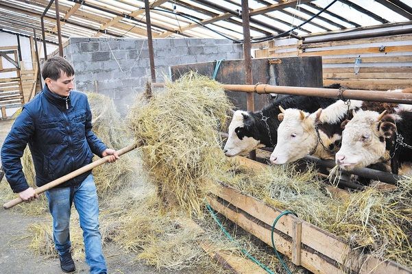Укргосфонд объявляет конкурс на получение финансовой поддержки фермерским хозяйствам
