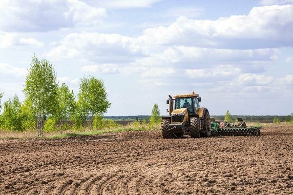 Чистий прибуток агропідприємств у 2020 році перевищив загальний по українській економіці – Юрій Лупенко