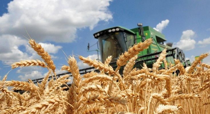 НИБУЛОН завершил уборку ранних зерновых с рекордной урожайностью