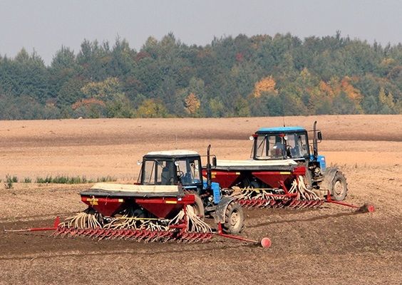 В Україні розпочалась сівба озимих зернових культур