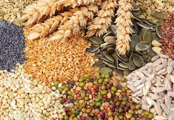 Аналитика цен на зерновые и масличные по состоянию на 15 сентября