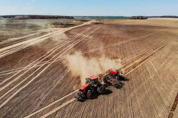 Озимими зерновими в Україні засіяно 5% площ