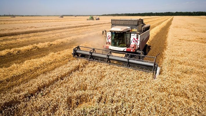 Болгарія готується до рекордного врожаю зернових