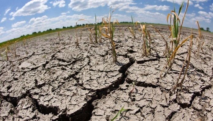 Посевам на юге Украины снова угрожает засуха