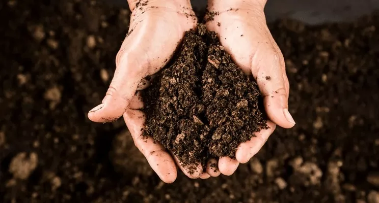 Украинские ученые отмечают улучшение состояния почв