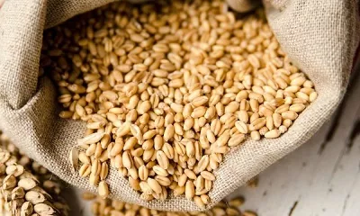 В Украине могут измениться тарифы на перевозку зерна