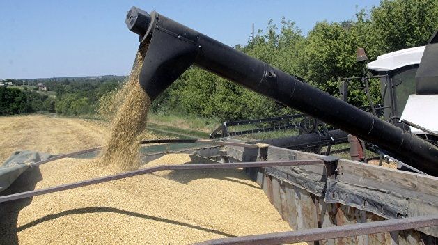 В Украине рекордными темпами экспортируют зерно