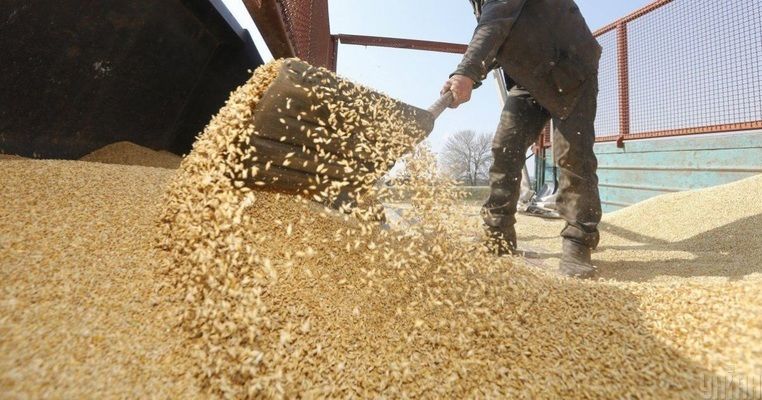 Проблемы с качеством пшеницы могут стать причиной снижения цен на закупку