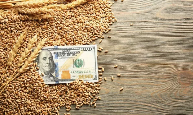 ДПЗКУ отримала 1 млрд грн збитків через продаж зернових за заниженими цінами