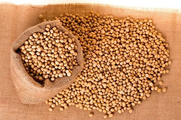 Бразилія у вересні може експортувати більше 5 млн тонн сої