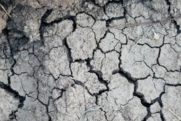 В Украине неудовлетворительное состояние увлажнения почвы