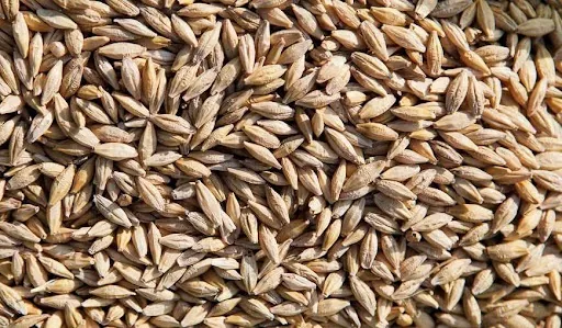 Терминал ЕВТ в порту Ольвия перевалил миллион тонн зерна с начала сезона