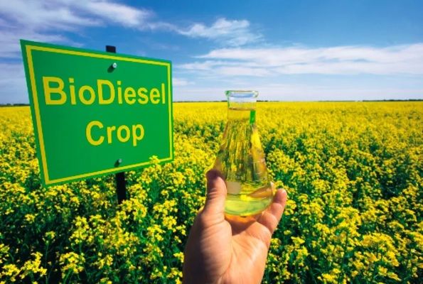 Мировое производство биодизеля в 2021 году достигнет очередного рекорда