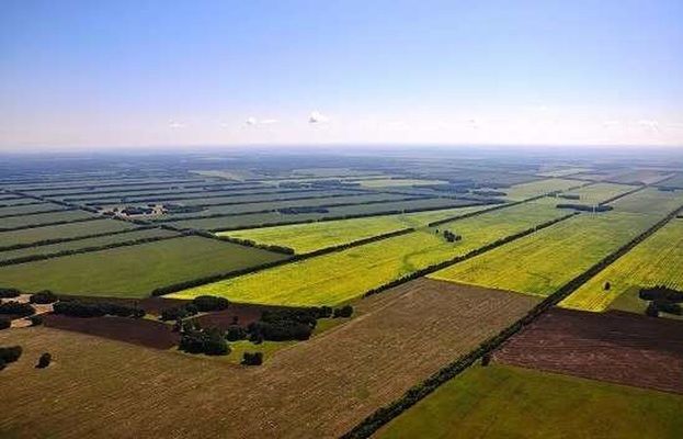 Купить землю в Украине можно будет через аукцион