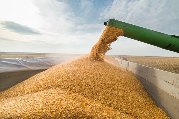 Экспорт украинского зерна в сентябре приближается к 5 млн тонн