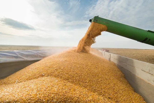Експорт українського зерна у вересні наближається до 5 млн тонн