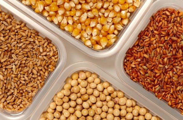 Украина экспортировала почти 15 млн тонн зерна