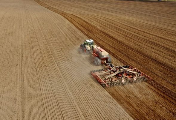 В Беларуси прогнозируется хороший урожай озимых