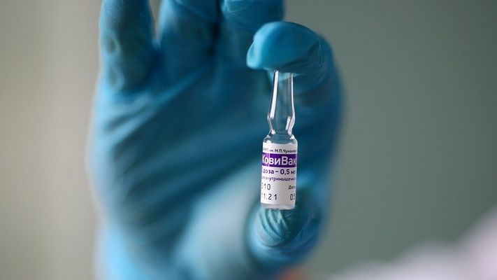Вакцины могут стать необходимыми к применению в теплицах 
