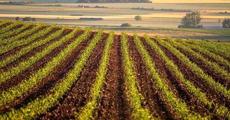 Мінагрополітики та НАЗК підписали меморандум щодо зменшення корупційних ризиків у земельній сфері