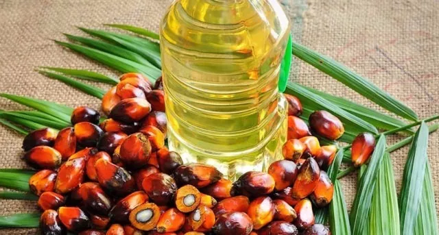 Индонезия может больше чем на 50% сократить экспорт пальмового масла 