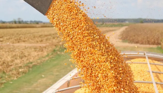 Экспорт украинского зерна за месяц превысил 2 млн тонн