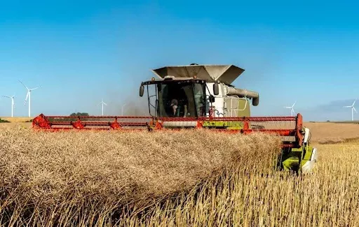 Программы господдержки АПК будут продолжаться весь 2022 год