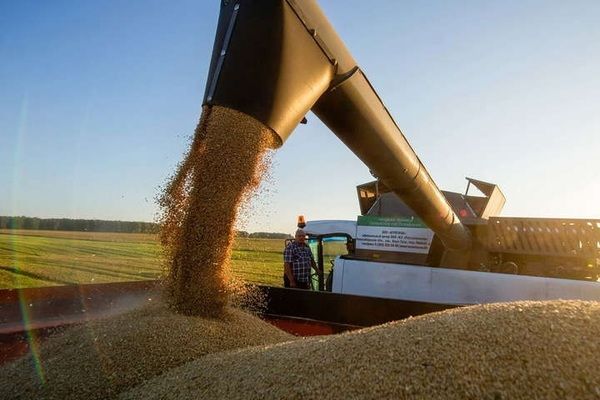 Аналітики підвищили прогноз світового експорту пшениці