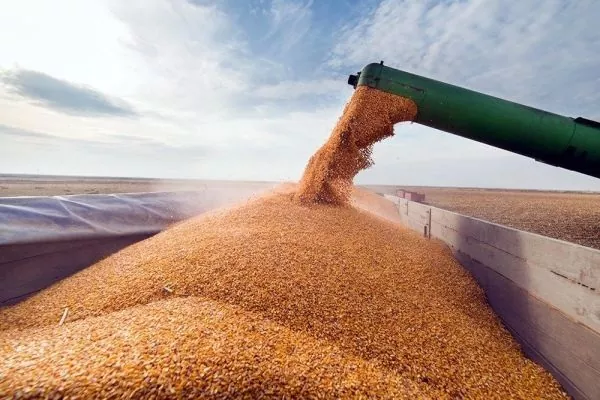 Экспорт украинского зерна с начала сезона достиг 18 млн тонн
