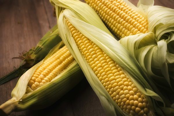 Цены на кукурузу стремительно продолжают падать