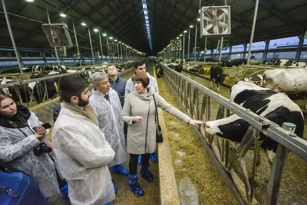 Украина и Армения планируют углубить сотрудничество в аграрной сфере