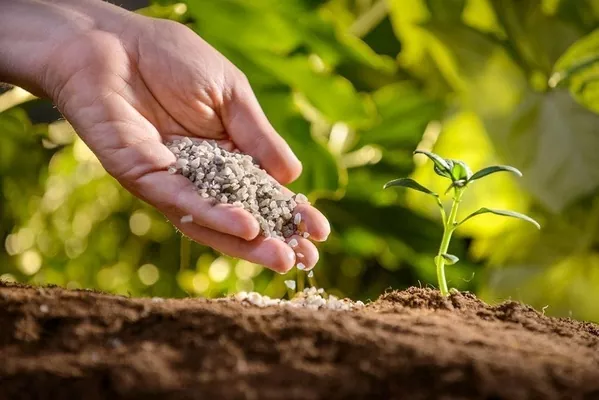 Госпродпотребслужба Украины объяснила причины задержек экспертиз агрохимикатов