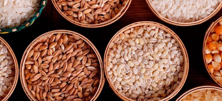 Аналитика цен на зерновые и масличные по состоянию на 10 ноября