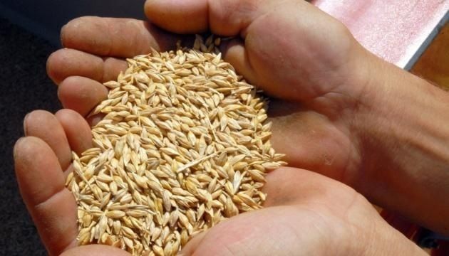 В Казахстане выросли запасы зерна