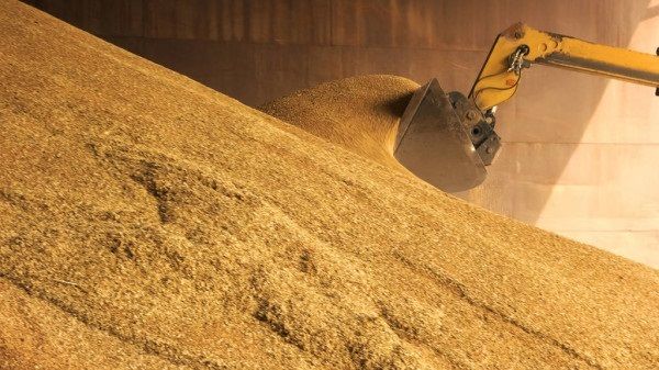 УЗ установила рекорд погрузки зерновых