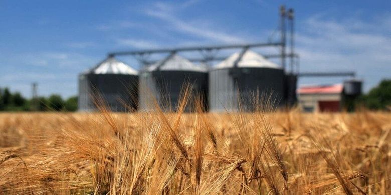 Турция проводит тендер на импорт пшеницы