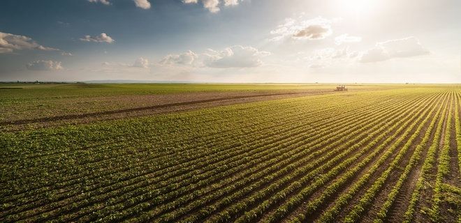 Во Франции подходит к завершению уборка кукурузы