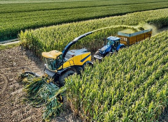 Уборка кукурузы в Беларуси практически завершена
