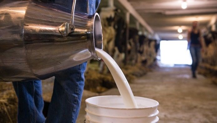 В Україні скоротилось виробництво молока