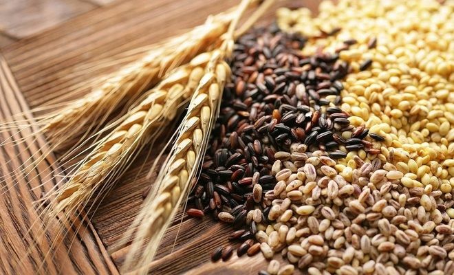 Аналитика цен на зерновые и масличные по состоянию на 23 ноября