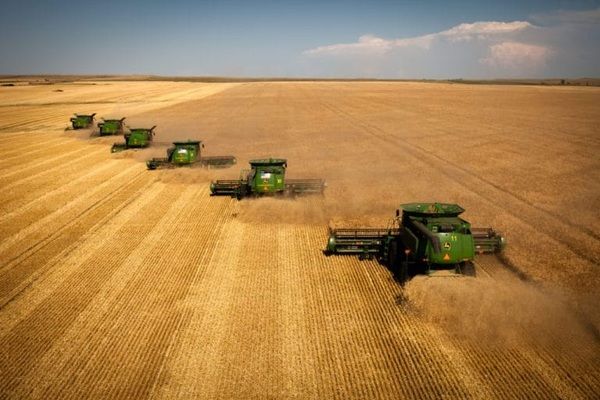 Объемы сельхозпроизводства в Украине выросли на 13%