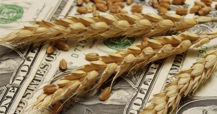 Цены на пшеницу достигли рекордного максимума
