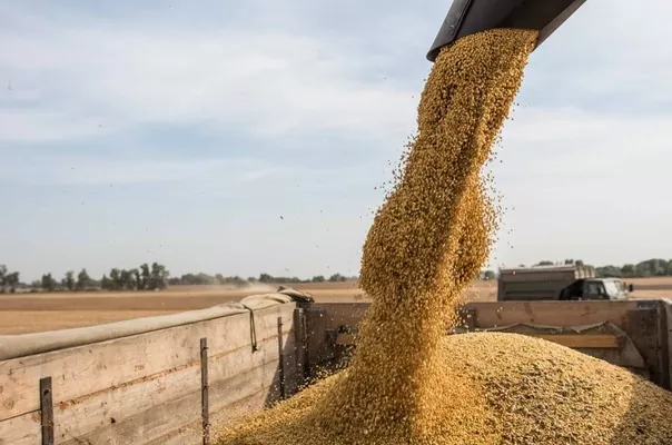 Экспорт зерновых в Украине с начала сезона превысил 24 млн тонн