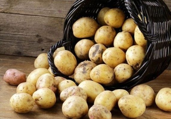 Отрасль картофелеводства получит компенсацию от государства
