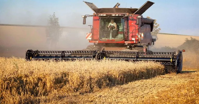 В Украине сбор зерновых и зернобобовых культур близок к завершению